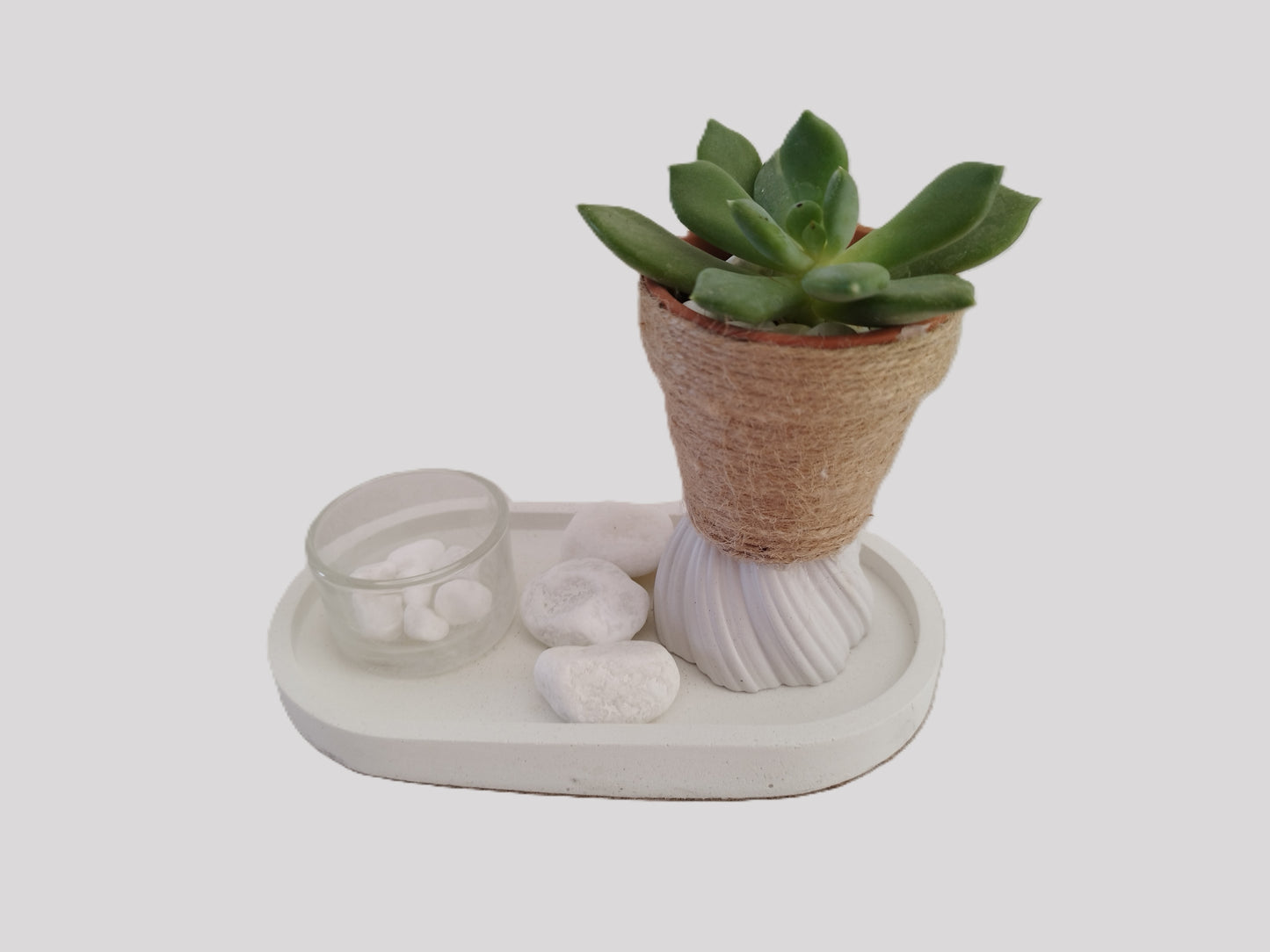 Τσιμεντένιο πιάτο με ρεσώ και μικρό γλαστράκι σε άσπρο φόντο με παχύφυτο