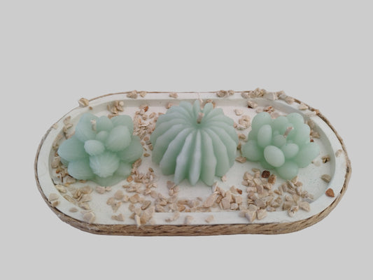 Σύνθεση με κεριά κακτάκια τοποθετημένα σε τσιμεντένια βάση σε άσπρο φόντο