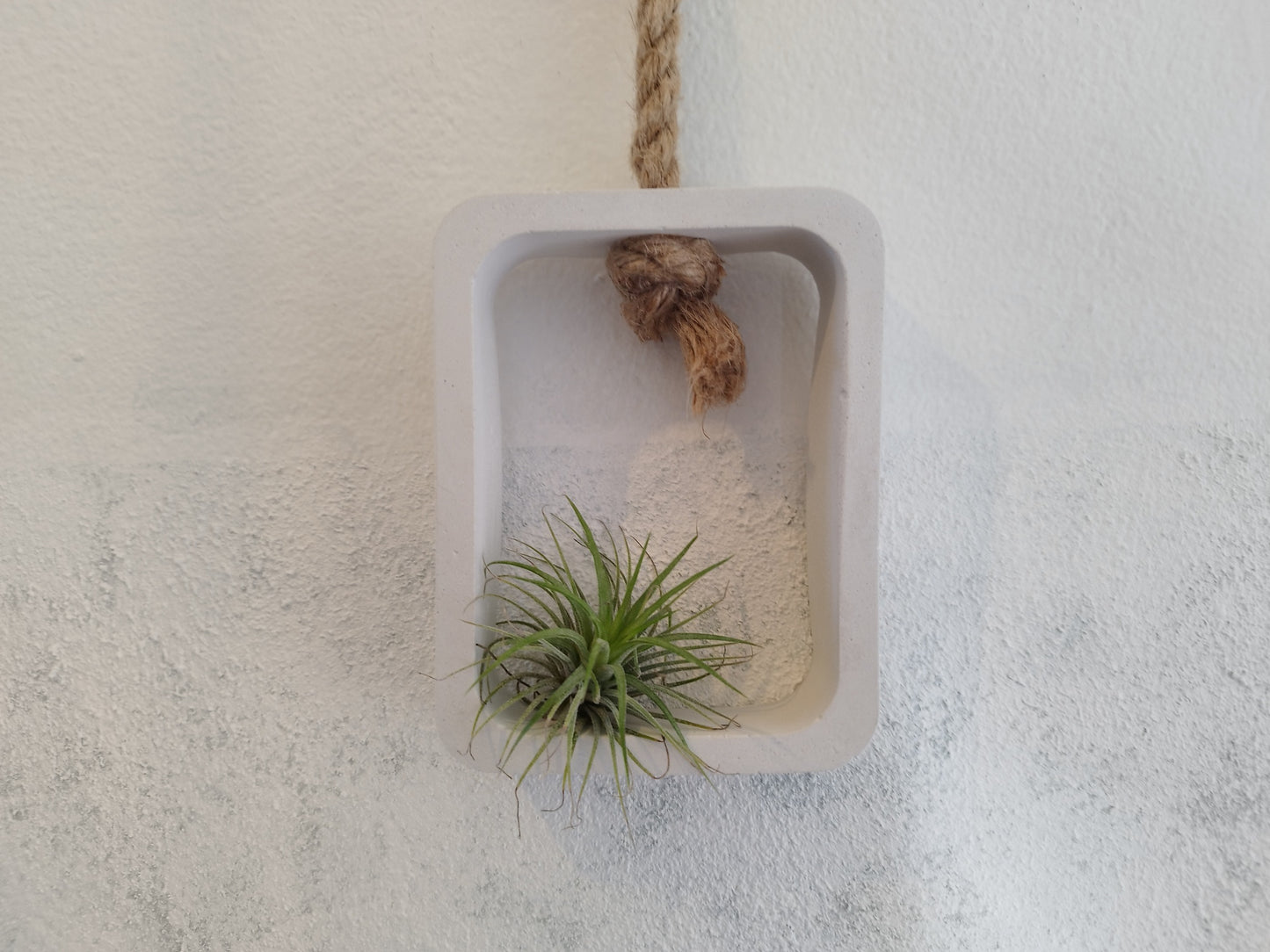 Small white wall shelf with a plant on a textured white background