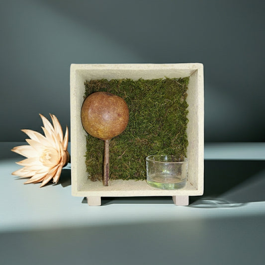 Διακοσμητικό ρεσώ με αφυδατωμένα βρύα πάνω σε γαλάζια επιφάνεια