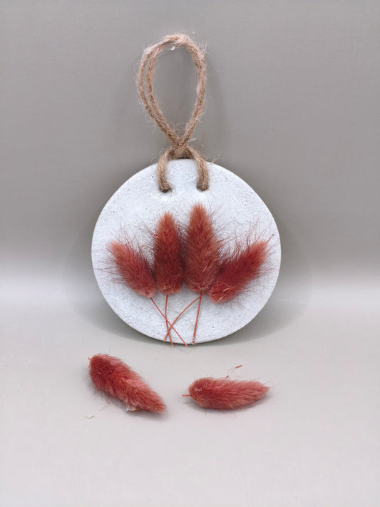 Τσιμεντένιο διακοσμητικό τοίχου με αποξηραμένα pampas