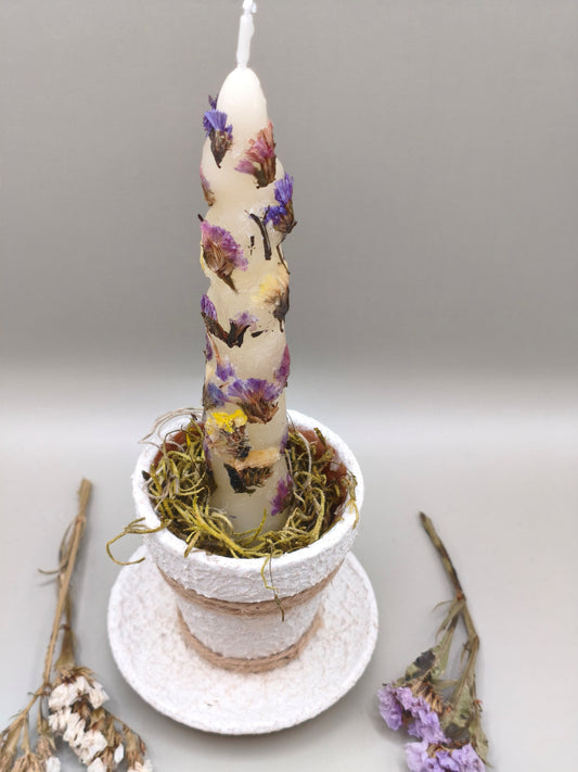 Τσιμεντένιο πιατάκι με κεραμική γλαστρούλα moss και κερί με αποξηραμένα λουλούδια