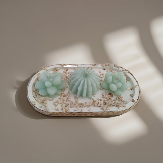 Σύνθεση με κεριά κακτάκια τοποθετημένα σε τσιμεντένια βάση σε γκρι φόντο