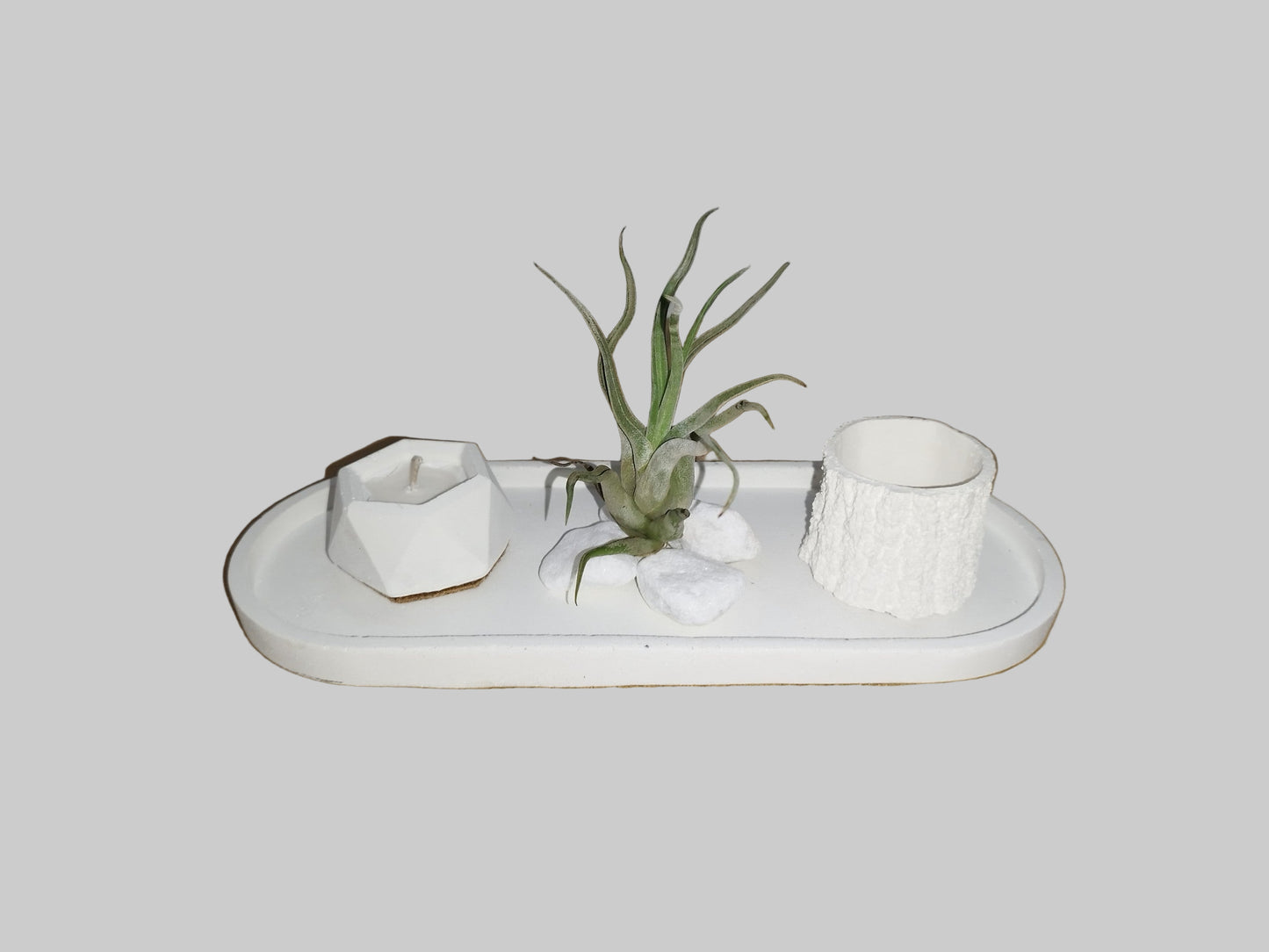 Διακοσμητικό με αερόφυτο και κερί σόγιας σε τσιμεντένια βάση