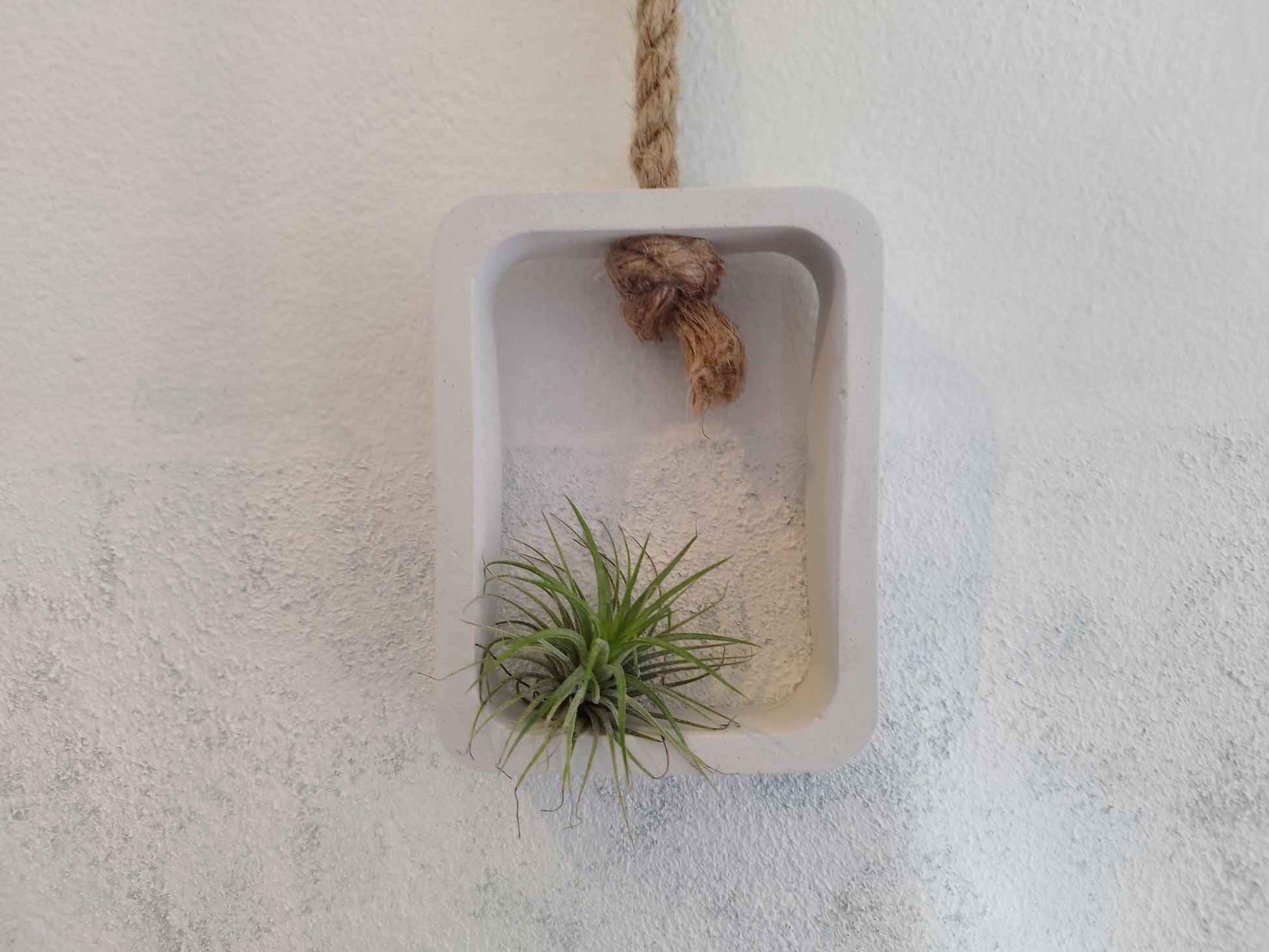 Small white wall shelf with a plant on a textured white background

