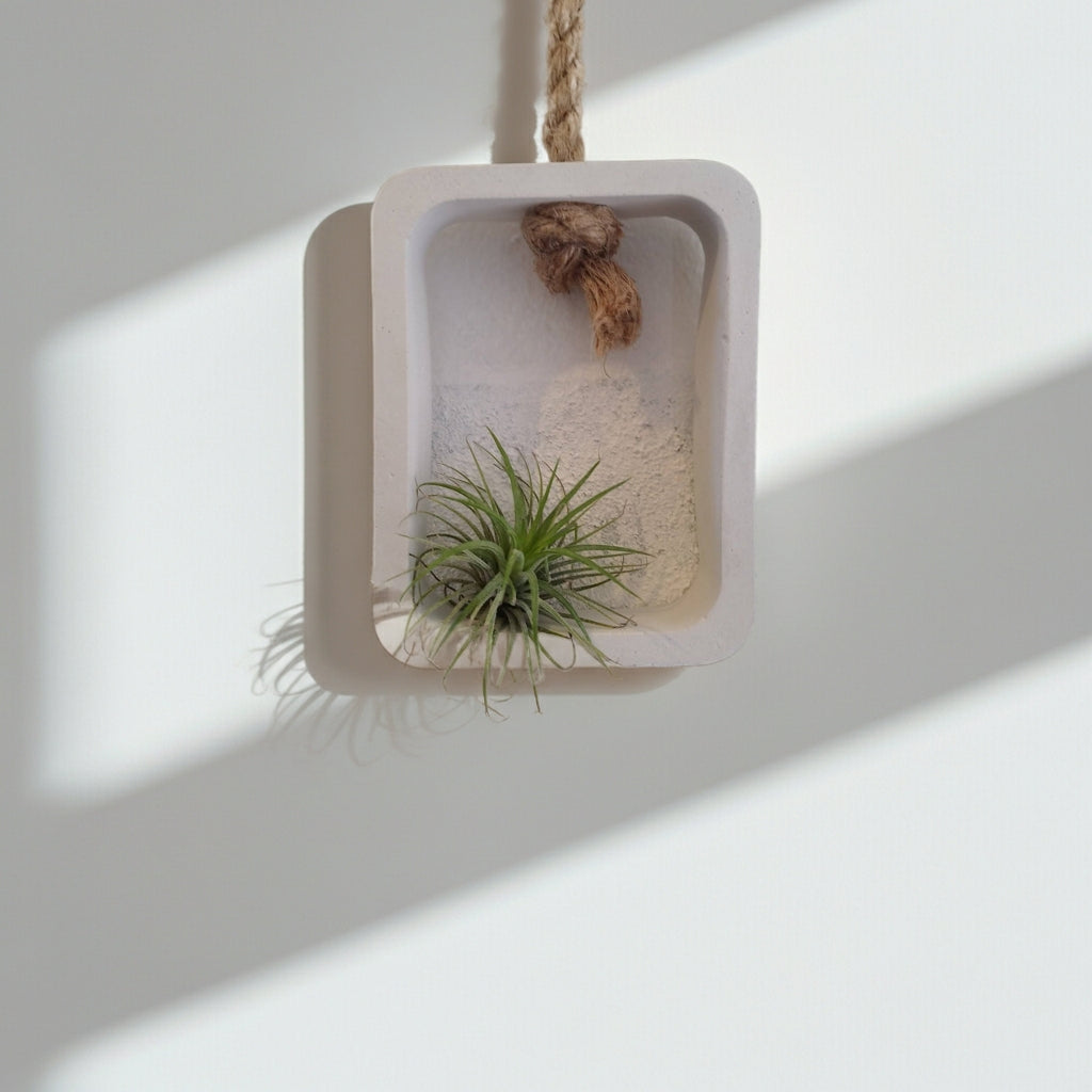 Τσιμεντένιο διακοσμητικό τοίχου με αερόφυτο