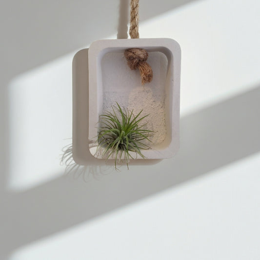 Τσιμεντένιο διακοσμητικό τοίχου με αερόφυτο