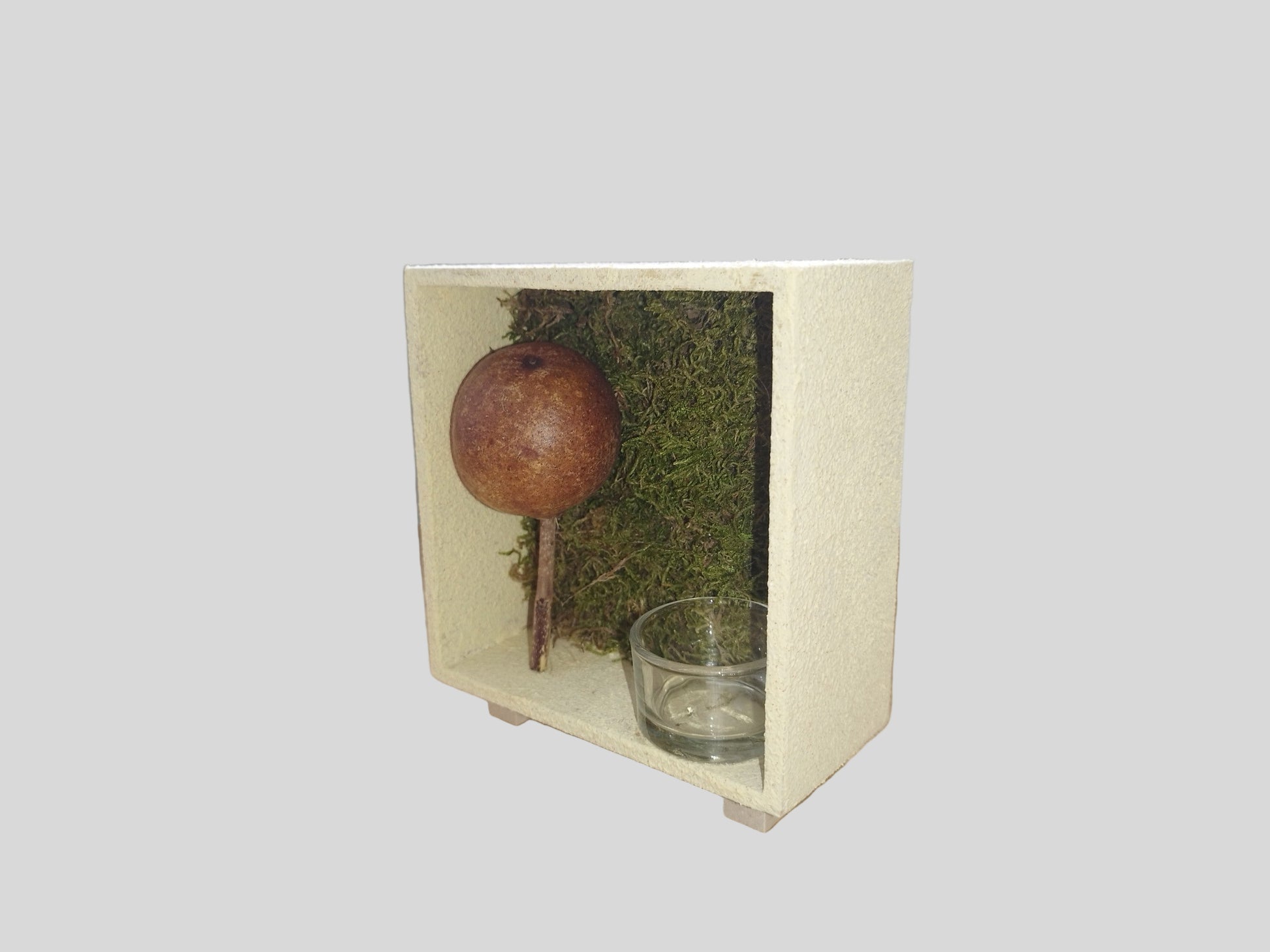 Διακοσμητικό ρεσώ με αφυδατωμένα βρύα σε γκρι φόντο απο τα πλάγια