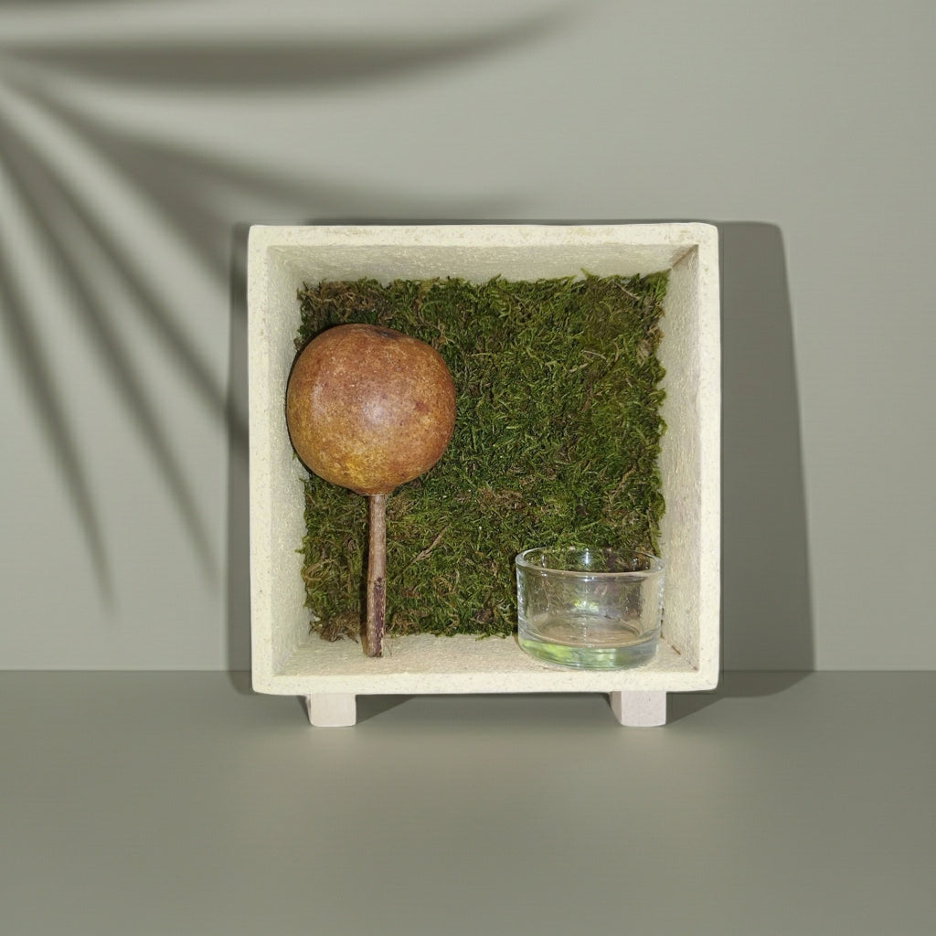 Διακοσμητικό ρεσώ με αφυδατωμένα βρύα μπροστά απο τοίχο