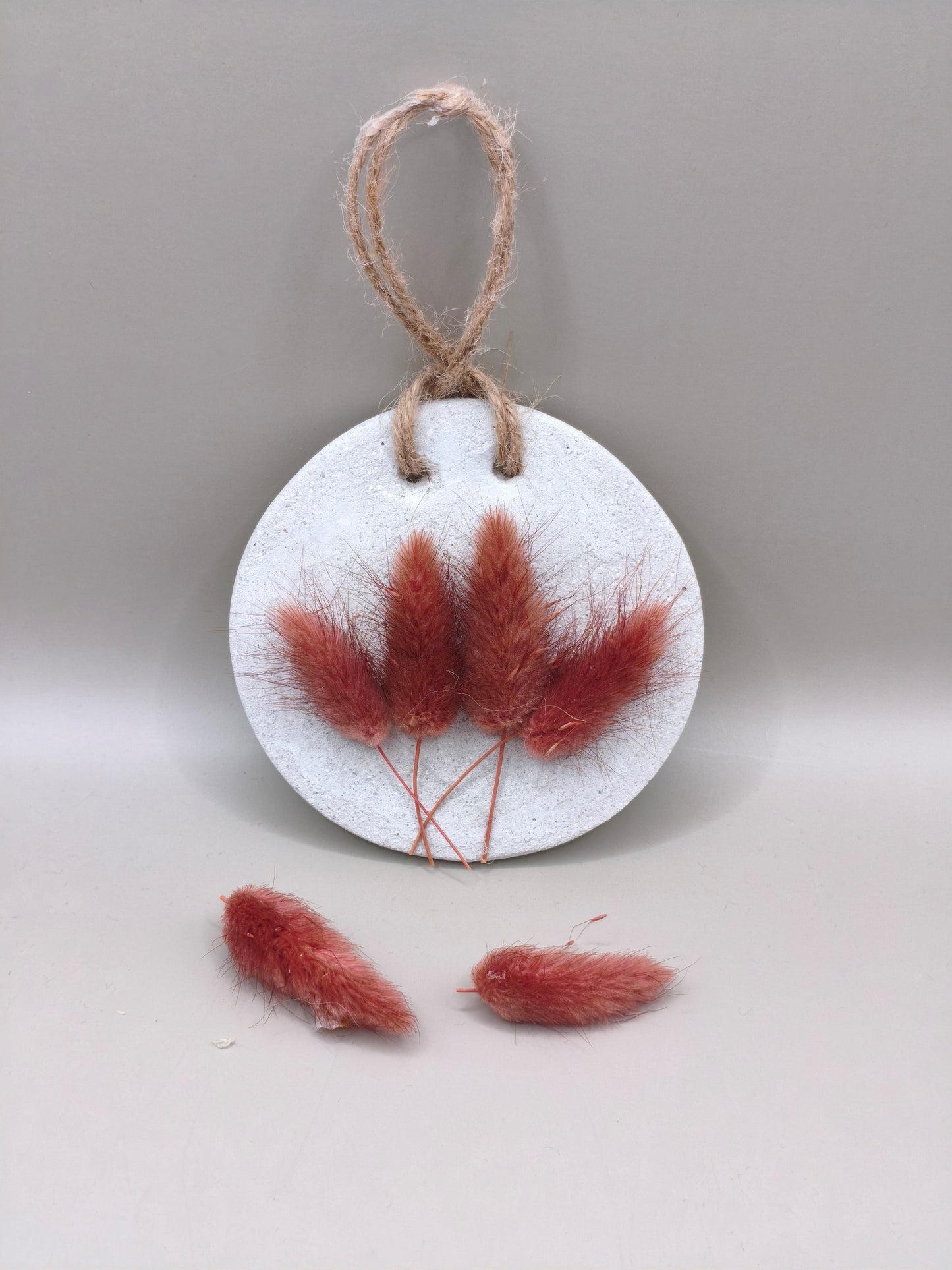 Τσιμεντένιο διακοσμητικό τοίχου με αποξηραμένα pampas