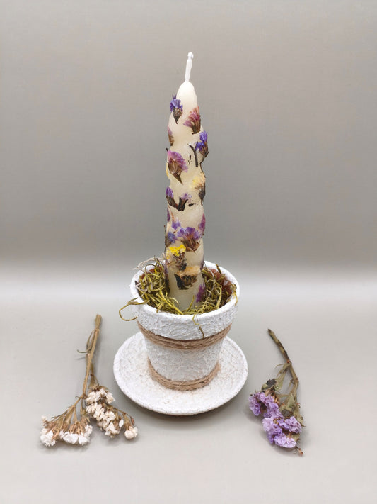 Τσιμεντένιο πιατάκι με κεραμική γλαστρούλα moss και κερί με αποξηραμένα λουλούδια