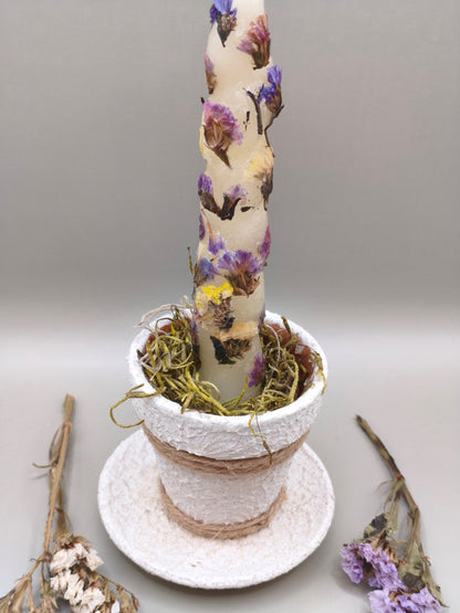 Τσιμεντένιο πιατάκι με κεραμική γλαστρούλα moss και κερί με αποξηραμένα λουλούδια σε γκρι φόντο