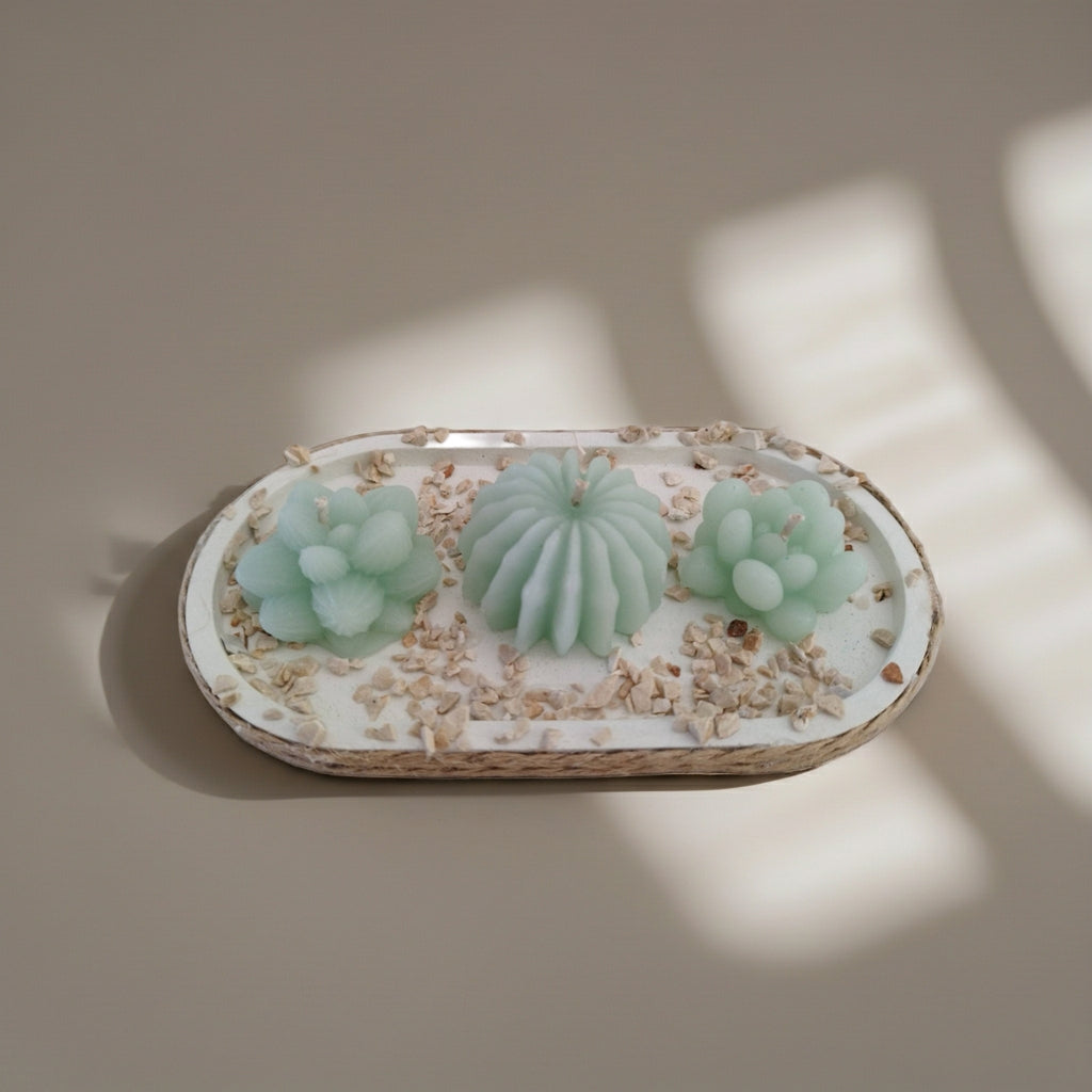 Σύνθεση με κεριά κακτάκια τοποθετημένα σε τσιμεντένια βάση σε γκρι φόντο