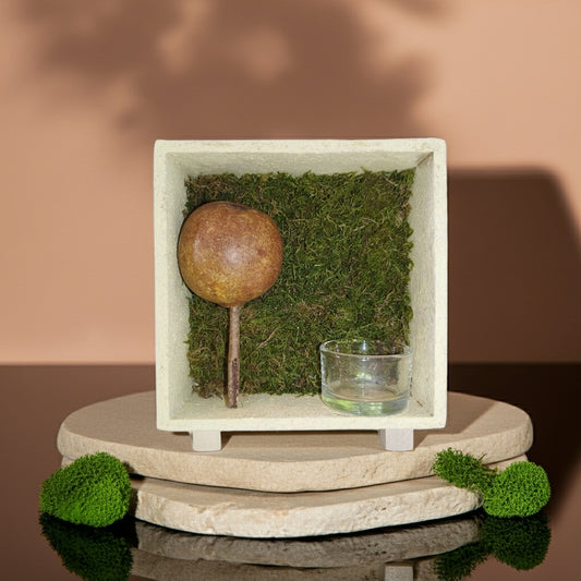 Διακοσμητικό ρεσώ με αφυδατωμένα βρύα πάνω σε τσιμεντένια βάση