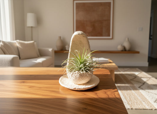 Τσιμεντένιο διακοσμητικό σε σχήμα μισοφέγγαρου με αερόφυτο πάνω σε ξύλινο τραπέζι