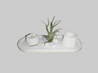 Διακοσμητικό με αερόφυτο και κερί σόγιας σε τσιμεντένια βάση