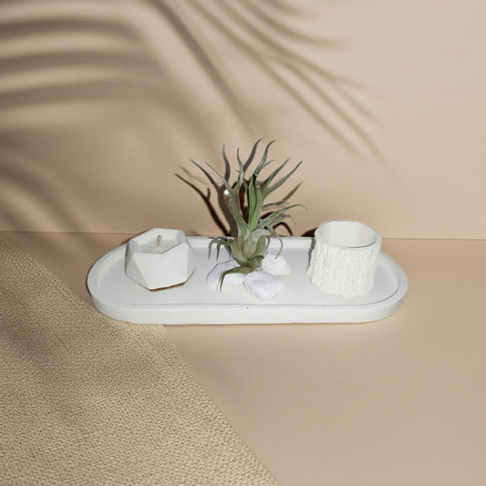 Διακοσμητικό με αερόφυτο και κερί σόγιας σε τσιμεντένια βάση πάνω σε τσιμεντένια επιφάνεια